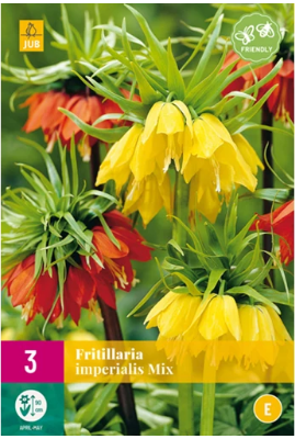 X   3 FRITILLARIA IMPERIALIS MIX 18/20