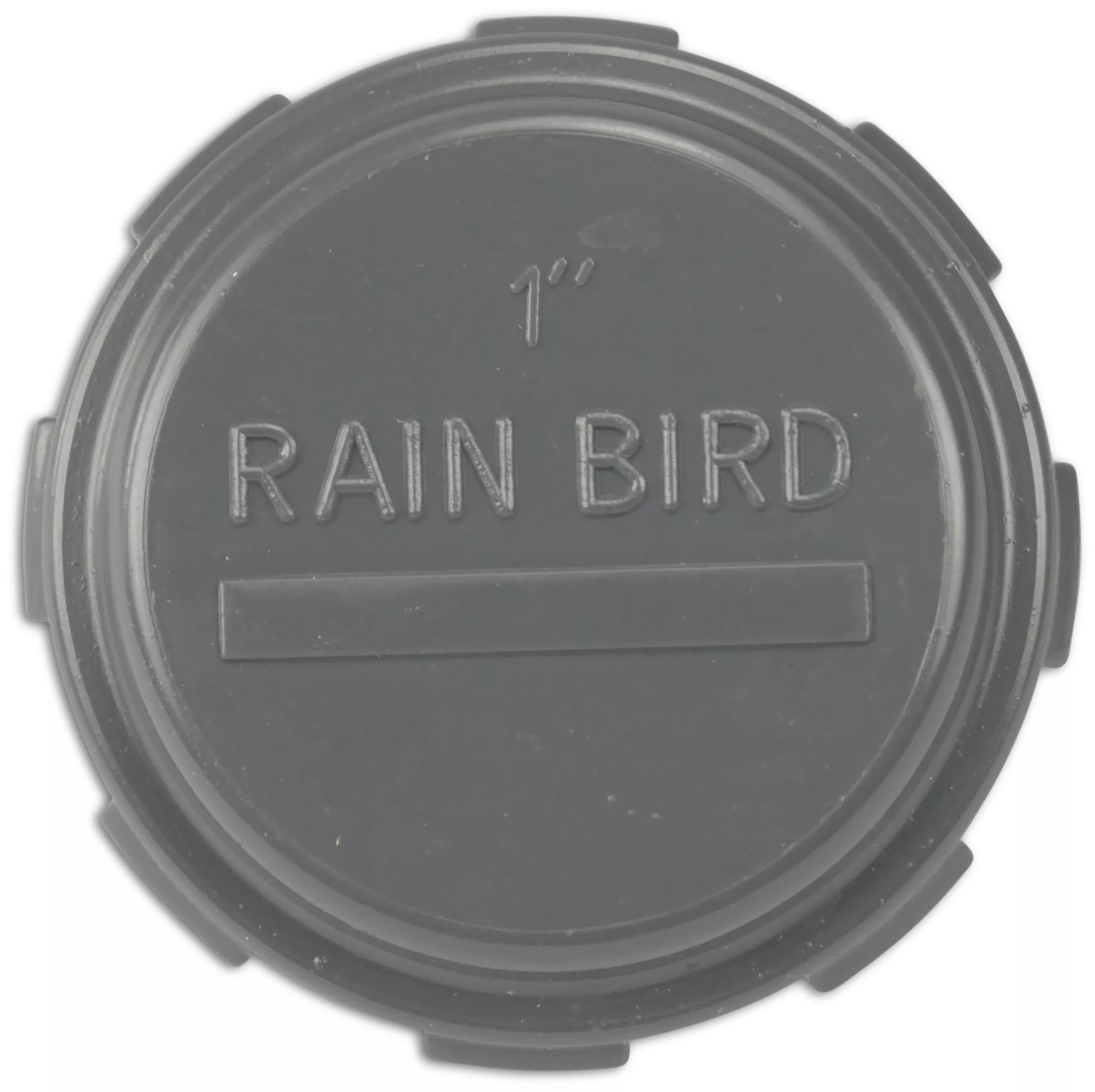 RAIN BIRD EINDKAP PVC BINNENDRAAD 10BAR GRIJS