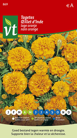 TAGETES LAGE ORANJE