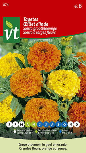 TAGETES SIERRA ORANJE EN GEEL