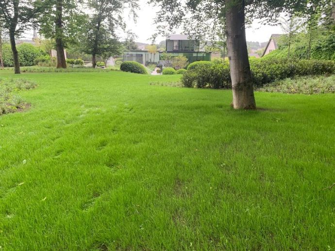 Topturf recrea - project met meststoffen en graszaad van de firma Van den Bergh